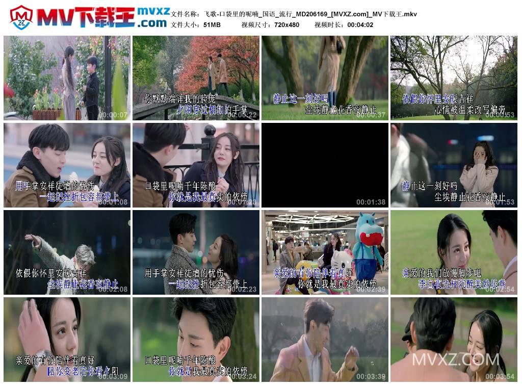 飞歌-口袋里的呢喃_国语_流行_MD206169